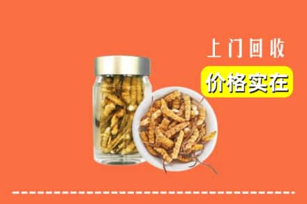 收购资讯:连江县回收散虫草