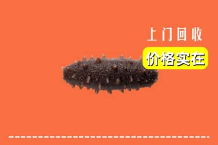 收购资讯:连江县回收海参