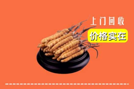 连江县回收冬虫夏草